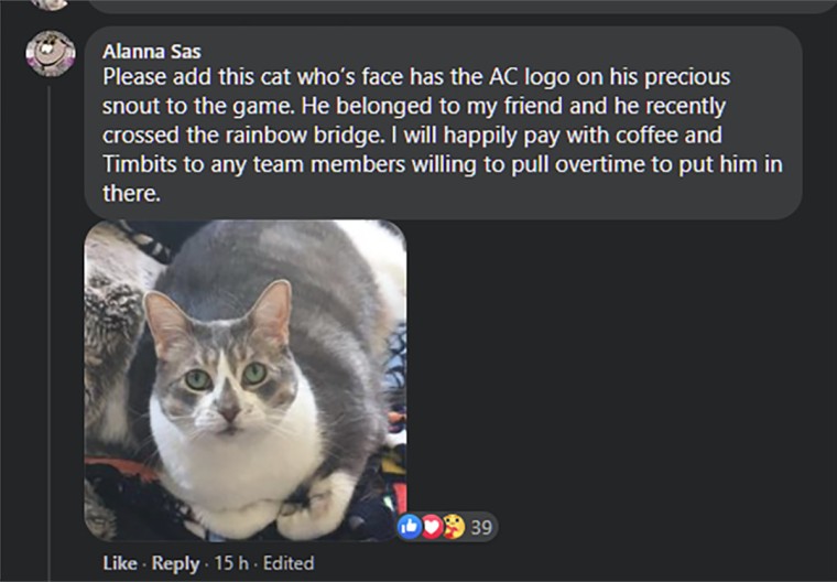 Assassin's Creed Mirage отдает дань уважения умершему коту фаната