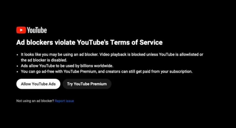 В ЕС YouTube обвинили в нарушении права на неприкосновенность частной жизни из-за борьбы с блокировщиками рекламы